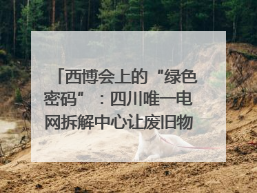 西博会上的“绿色密码”：四川唯一电网拆解中心让废旧物资“重生”｜西博寻“新”记