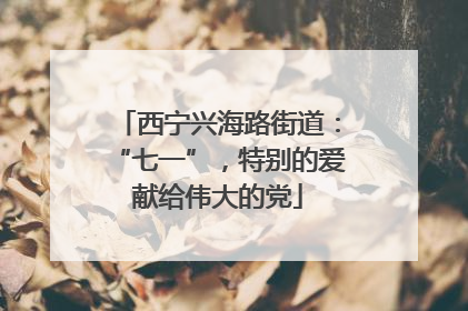 西宁兴海路街道：“七一”，特别的爱献给伟大的党