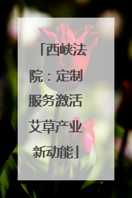 西峡法院：定制服务激活艾草产业新动能