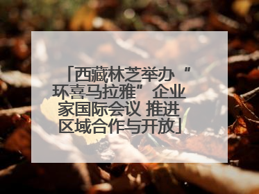 西藏林芝举办“环喜马拉雅”企业家国际会议 推进区域合作与开放