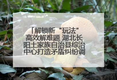 解锁新“玩法” 高效解难题 湖北长阳土家族自治县综治中心打造矛盾纠纷调处“终点站”