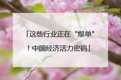 这些行业正在“爆单”！中国经济活力密码