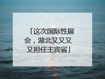 这次国际性展会，湖北又又又又担任主宾省