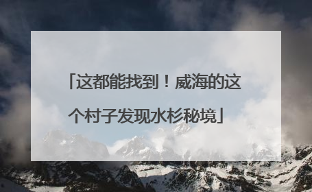 这都能找到！威海的这个村子发现水杉秘境