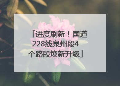 进度刷新！国道228线泉州段4个路段焕新升级