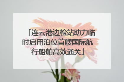 连云港边检站助力临时启用泊位首艘国际航行船舶高效通关