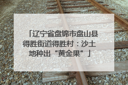 辽宁省盘锦市盘山县得胜街道得胜村：沙土地种出“黄金果”