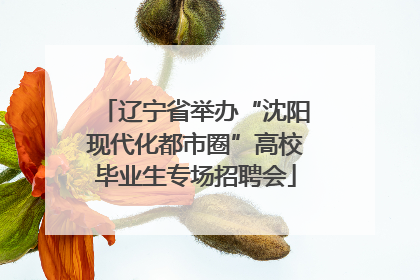 辽宁省举办“沈阳现代化都市圈”高校毕业生专场招聘会