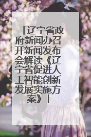辽宁省政府新闻办召开新闻发布会解读《辽宁省促进人工智能创新发展实施方案》