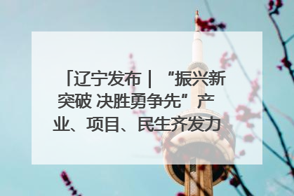 辽宁发布｜“振兴新突破 决胜勇争先”产业、项目、民生齐发力 葫芦岛按下决胜之年“加速键”