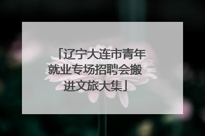 辽宁大连市青年就业专场招聘会搬进文旅大集