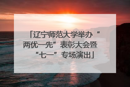 辽宁师范大学举办“两优一先”表彰大会暨“七一”专场演出