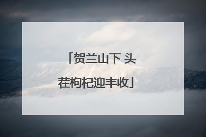 贺兰山下 头茬枸杞迎丰收