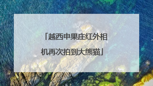 越西申果庄红外相机再次拍到大熊猫