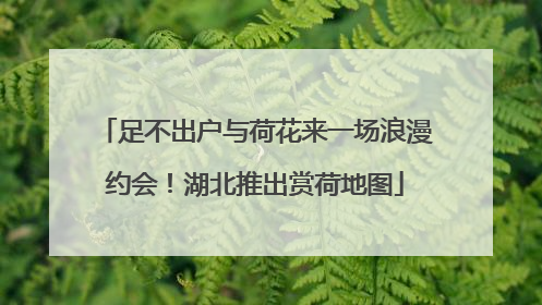 足不出户与荷花来一场浪漫约会！湖北推出赏荷地图