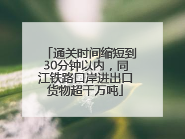 通关时间缩短到30分钟以内，同江铁路口岸进出口货物超千万吨