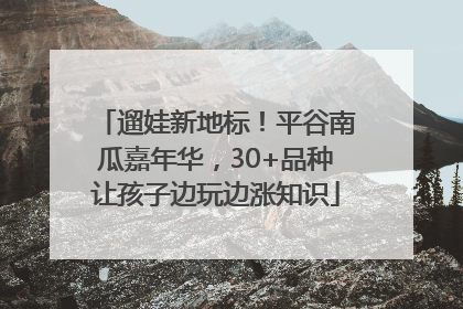 遛娃新地标！平谷南瓜嘉年华，30+品种让孩子边玩边涨知识