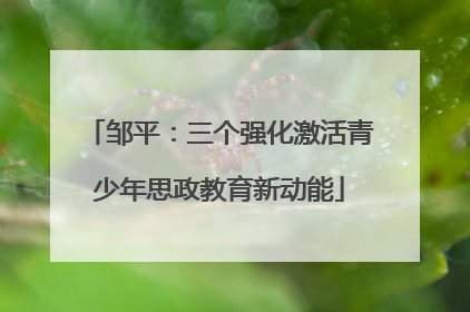 邹平：三个强化激活青少年思政教育新动能