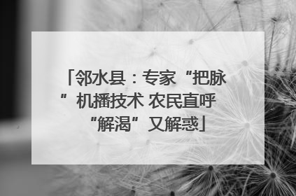 邻水县：专家“把脉”机播技术 农民直呼“解渴”又解惑
