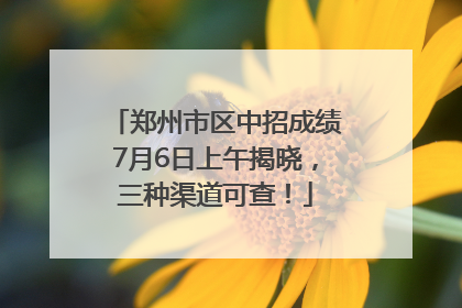 郑州市区中招成绩7月6日上午揭晓，三种渠道可查！