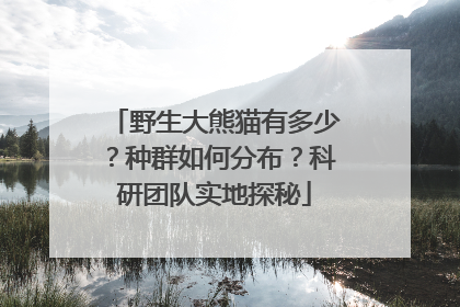 野生大熊猫有多少？种群如何分布？科研团队实地探秘