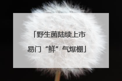野生菌陆续上市 易门“鲜”气爆棚