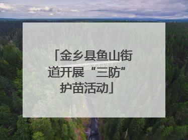 金乡县鱼山街道开展“三防”护苗活动