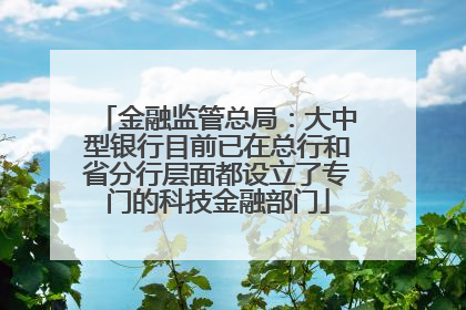 金融监管总局：大中型银行目前已在总行和省分行层面都设立了专门的科技金融部门