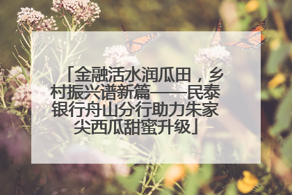 金融活水润瓜田，乡村振兴谱新篇——民泰银行舟山分行助力朱家尖西瓜甜蜜升级