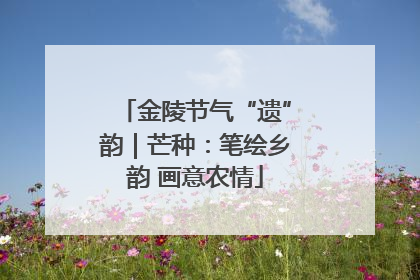 金陵节气“遗”韵｜芒种：笔绘乡韵 画意农情