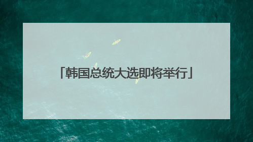 韩国总统大选即将举行