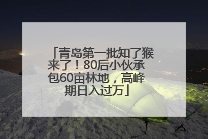青岛第一批知了猴来了！80后小伙承包60亩林地，高峰期日入过万
