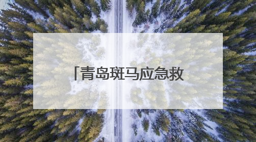 青岛斑马应急救援队公益长跑从未停歇 七载坚守绘就城市温暖底色
