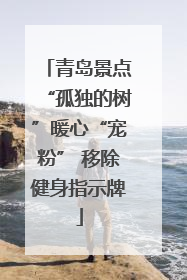 青岛景点“孤独的树”暖心“宠粉” 移除健身指示牌