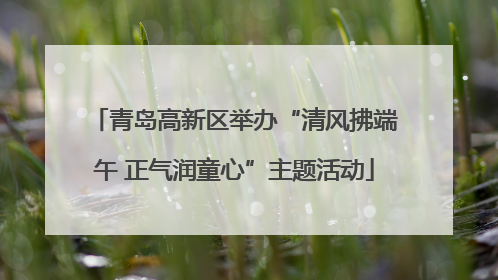 青岛高新区举办“清风拂端午 正气润童心”主题活动