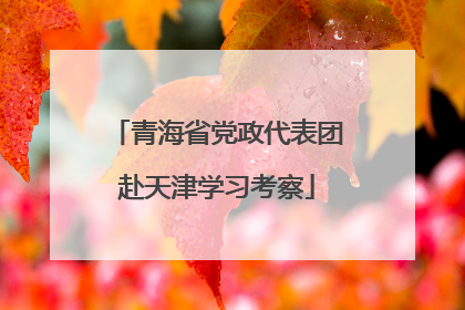 青海省党政代表团赴天津学习考察