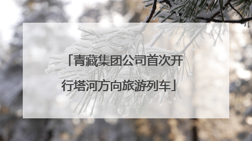 青藏集团公司首次开行塔河方向旅游列车