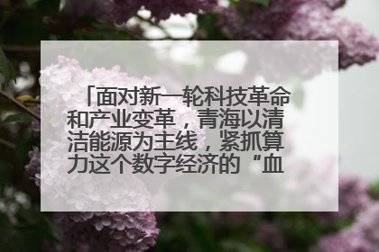 面对新一轮科技革命和产业变革,青海以清洁能源为主线,紧抓算力这个数字经济的“血液”、科技主权的“筹码”、产业升级的“杠杆”、绿色转型的“支点”,勇于撬动国家“双碳”战略、“东数西算”工程重大发展新机遇,点亮绿色算电协同新赛道,蹚出一条符合本地实际的高质量发展之路——青海:“绿色算力” 锚定“东数西算”国家战略布局
