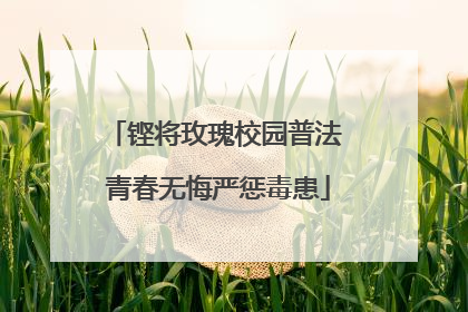 铿将玫瑰校园普法 青春无悔严惩毒患
