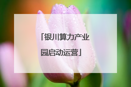 银川算力产业园启动运营
