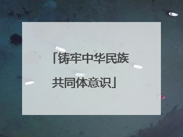 铸牢中华民族共同体意识