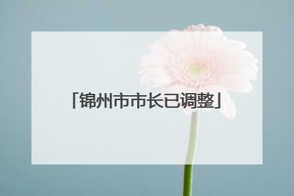 锦州市市长已调整