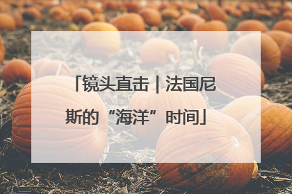 镜头直击｜法国尼斯的“海洋”时间