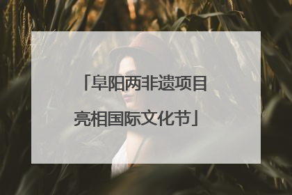 阜阳两非遗项目亮相国际文化节