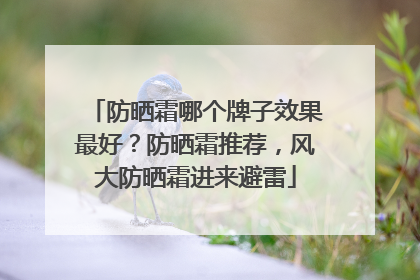 防晒霜哪个牌子效果最好？防晒霜推荐，风大防晒霜进来避雷
