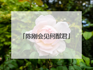 陈刚会见何猷君