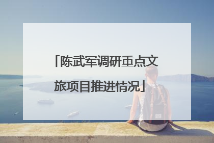 陈武军调研重点文旅项目推进情况