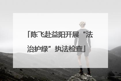 陈飞赴益阳开展“法治护绿”执法检查