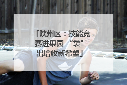 陕州区：技能竞赛进果园 “袋”出增收新希望