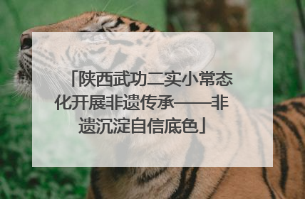 陕西武功二实小常态化开展非遗传承——非遗沉淀自信底色